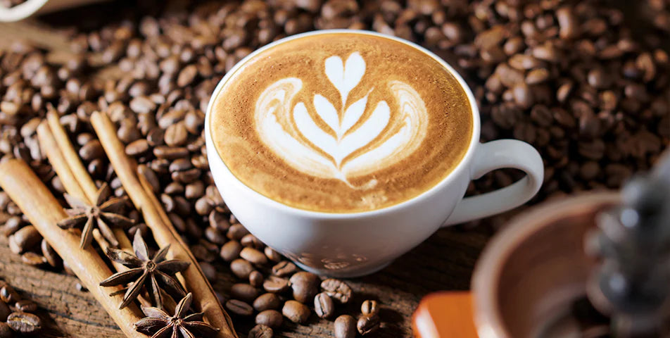 6 Tips for Choosing the Perfect Coffee Supplier